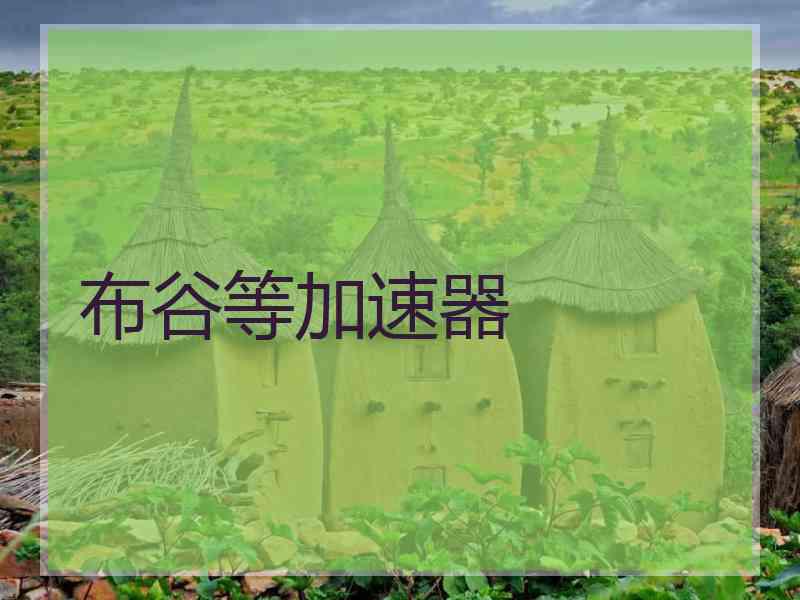 布谷等加速器