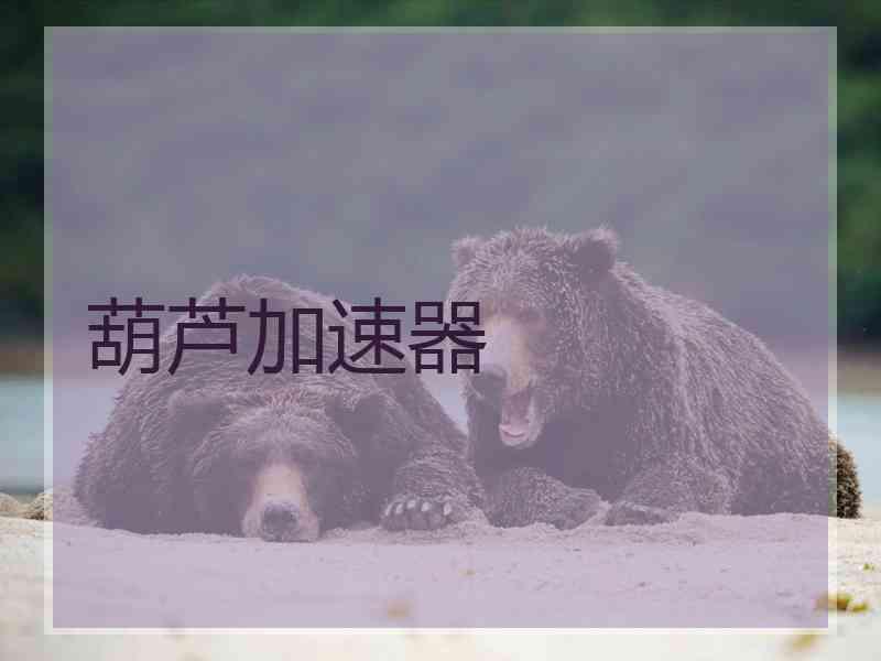 葫芦加速器