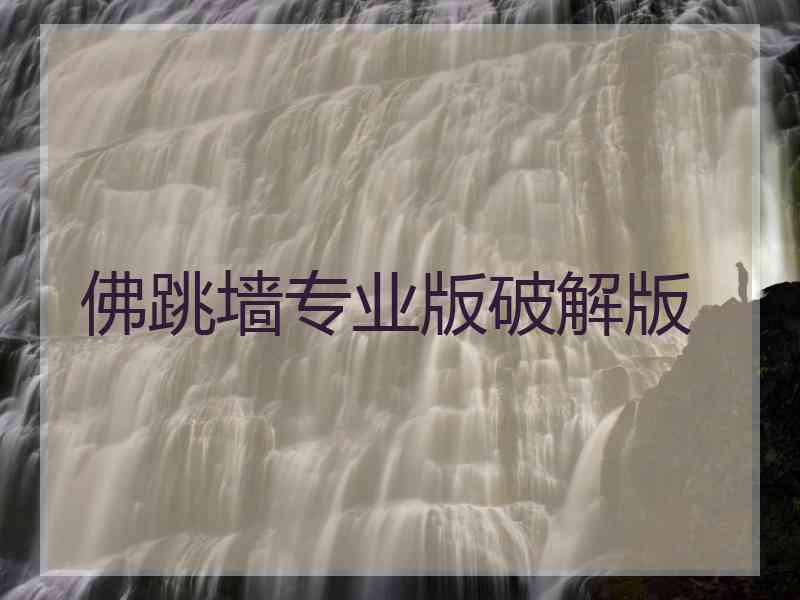 佛跳墙专业版破解版