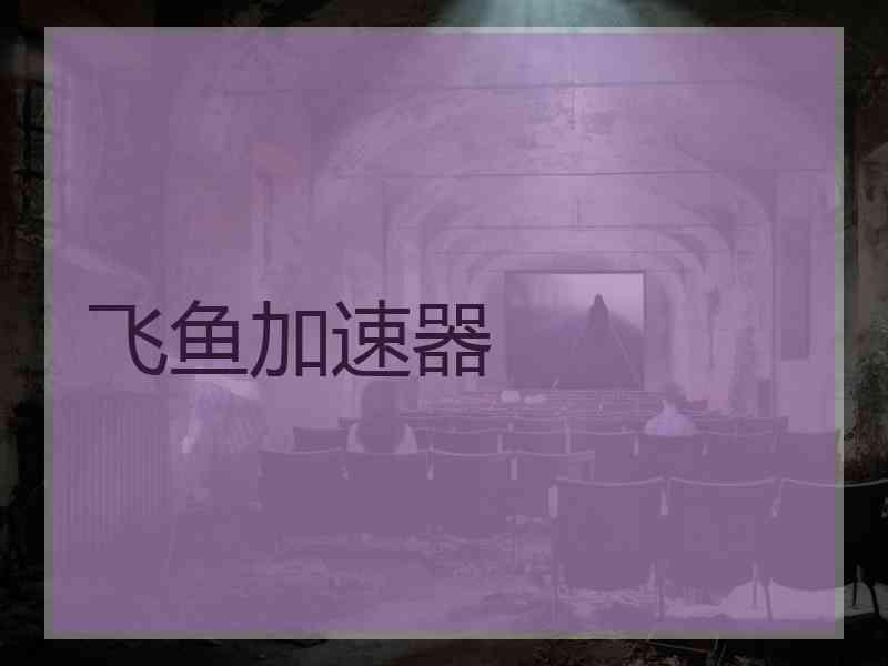 飞鱼加速器