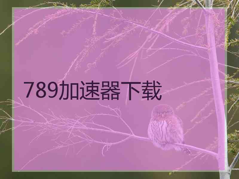 789加速器下载