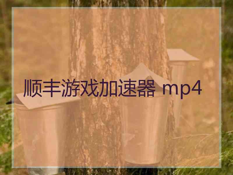 顺丰游戏加速器 mp4