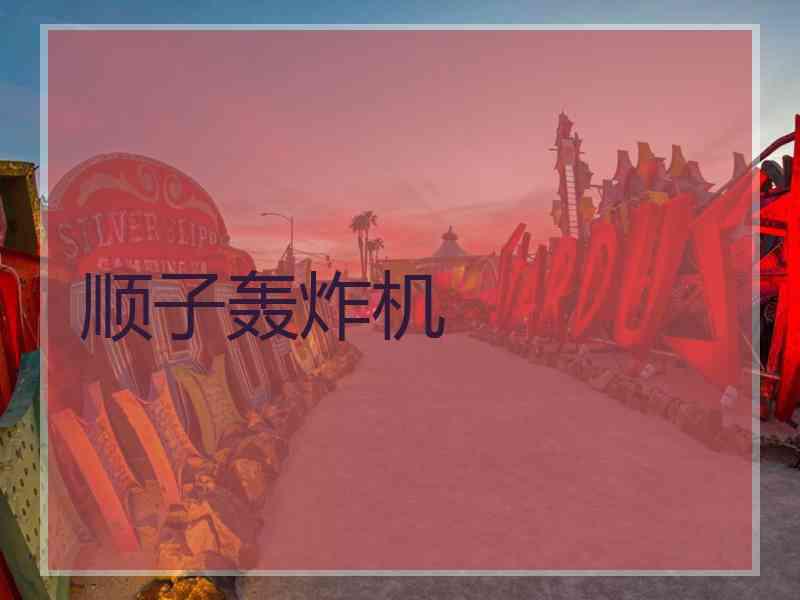 顺子轰炸机
