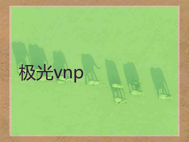 极光vnp