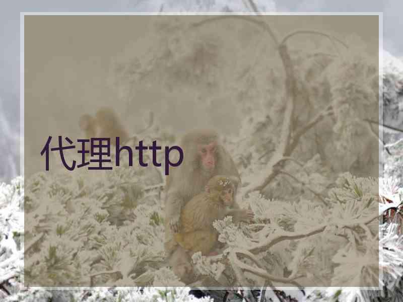 代理http