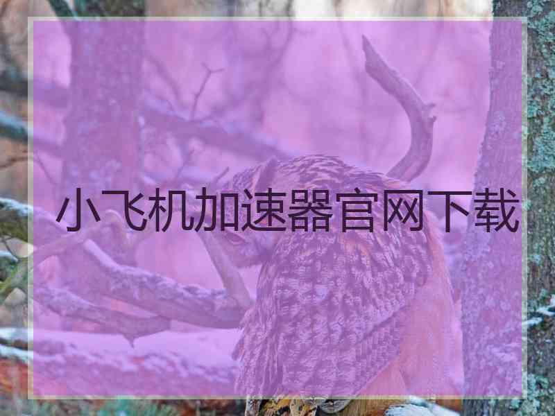 小飞机加速器官网下载