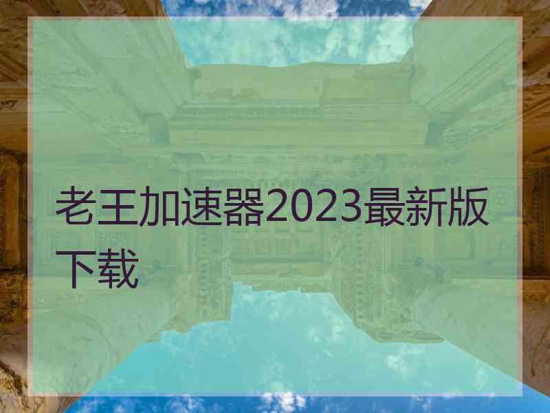老王加速器2023最新版下载