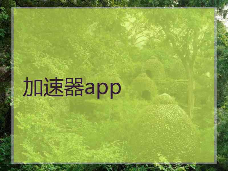 加速器app