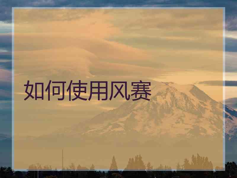 如何使用风赛