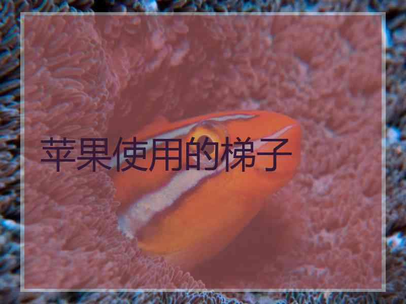 苹果使用的梯子