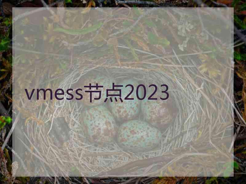 vmess节点2023