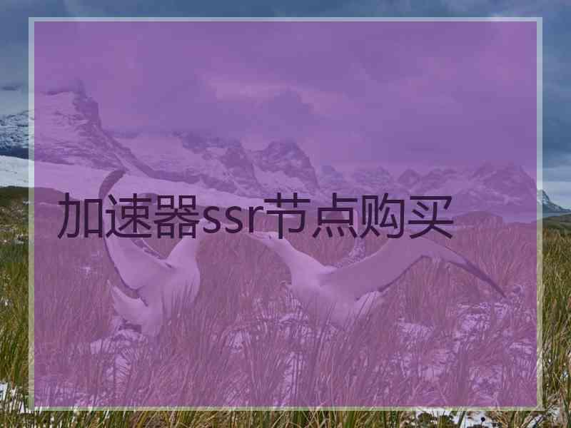 加速器ssr节点购买