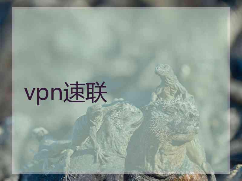 vpn速联
