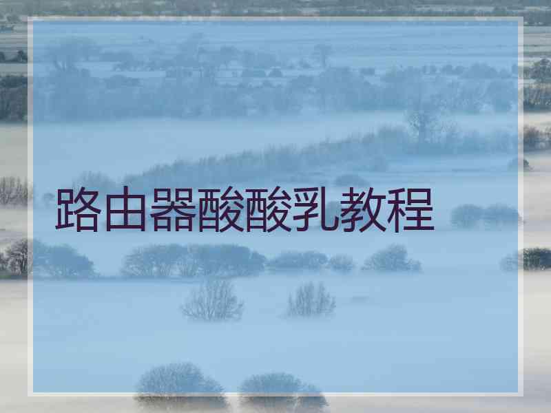 路由器酸酸乳教程
