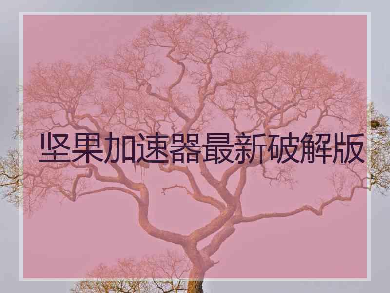 坚果加速器最新破解版