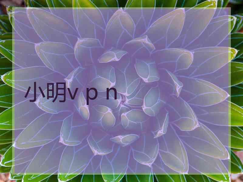 小明v p n