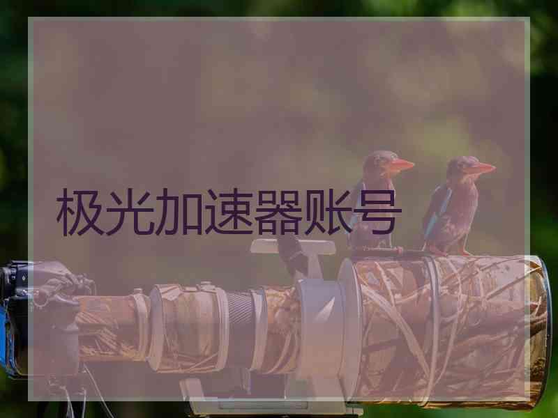 极光加速器账号