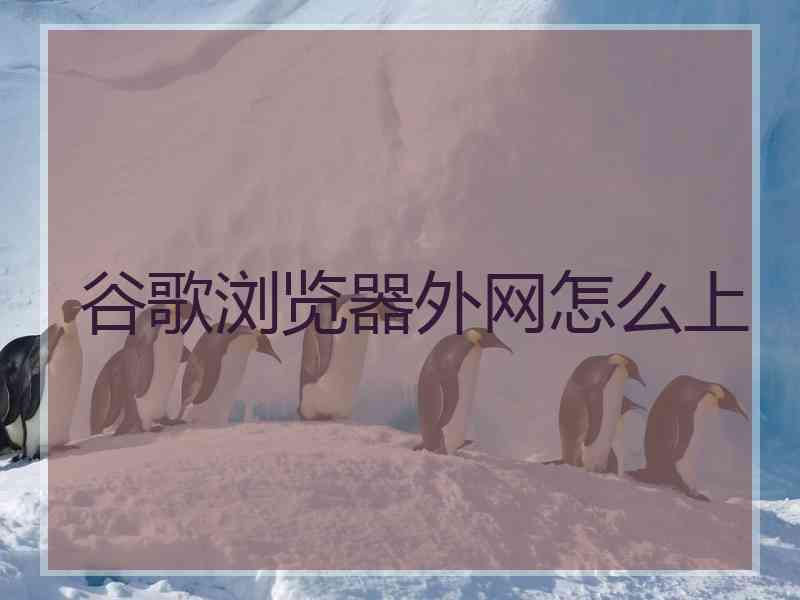 谷歌浏览器外网怎么上