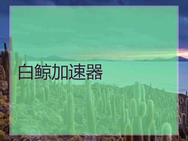 白鲸加速器