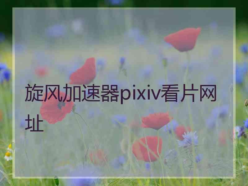 旋风加速器pixiv看片网址