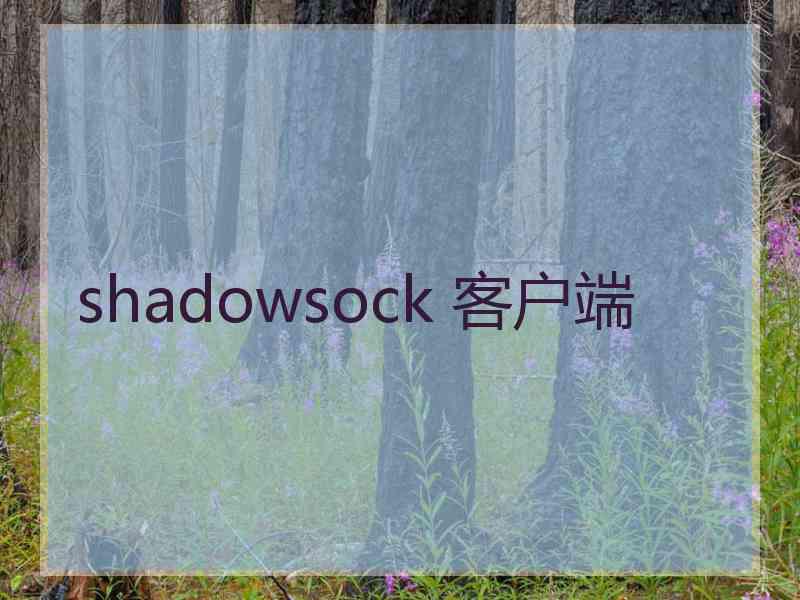 shadowsock 客户端
