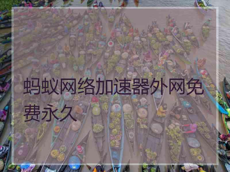 蚂蚁网络加速器外网免费永久