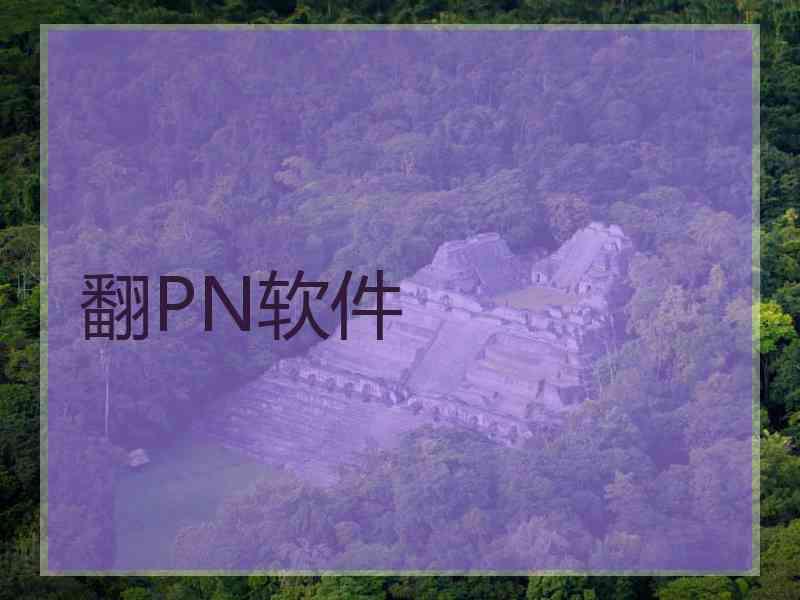 翻PN软件