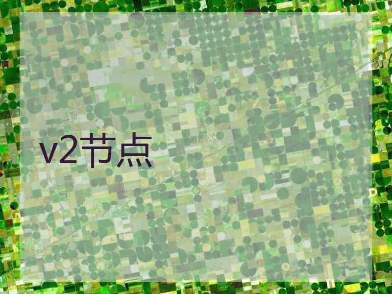 v2节点