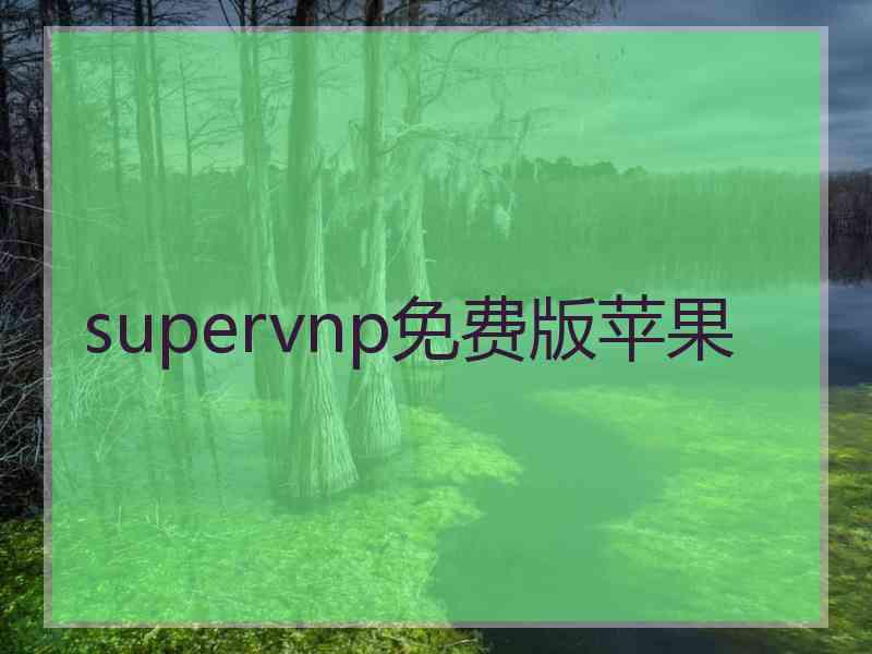 supervnp免费版苹果