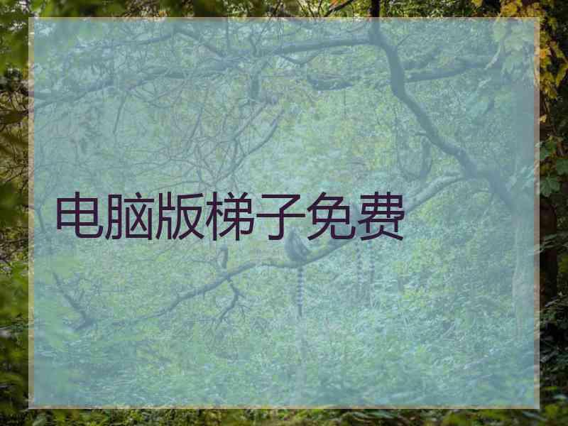 电脑版梯子免费