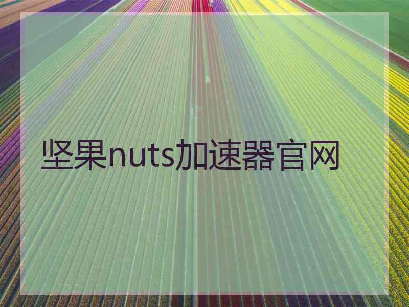 坚果nuts加速器官网