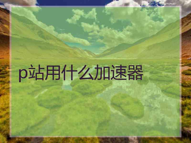 p站用什么加速器