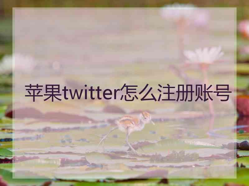 苹果twitter怎么注册账号