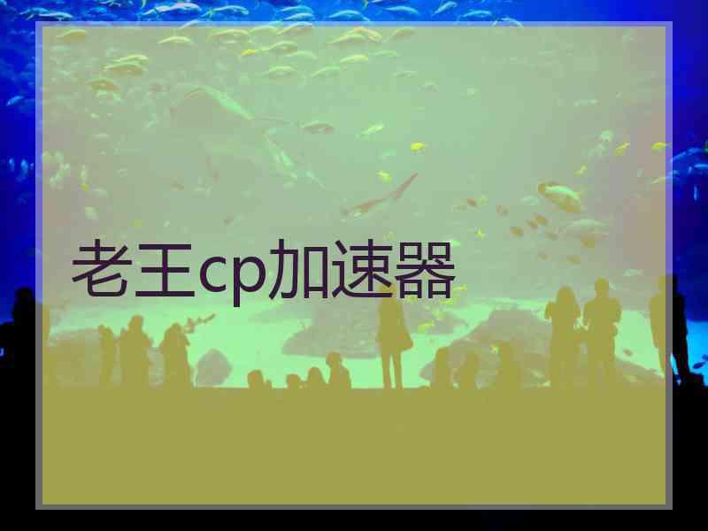老王cp加速器