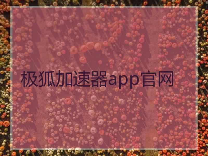 极狐加速器app官网