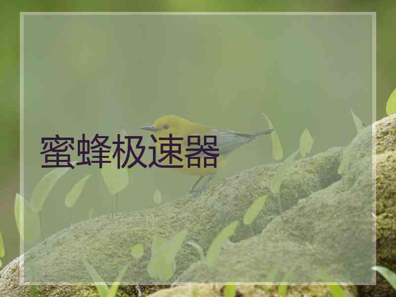 蜜蜂极速器