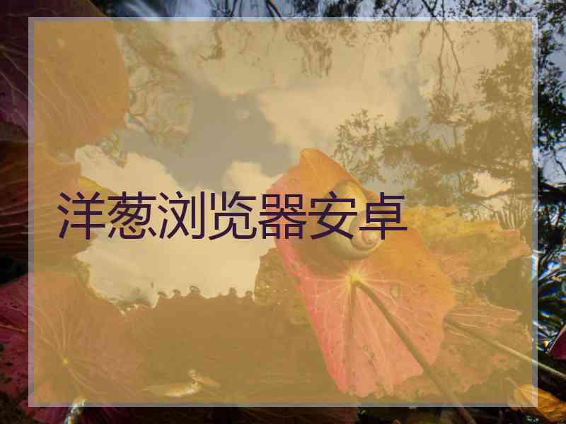 洋葱浏览器安卓