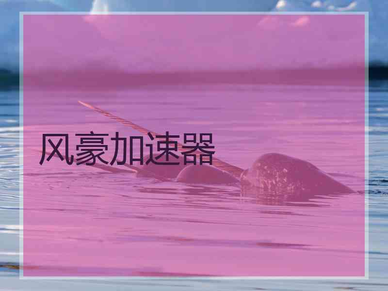 风豪加速器