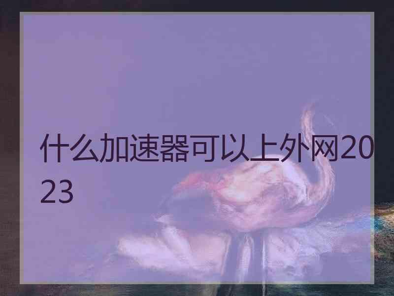 什么加速器可以上外网2023
