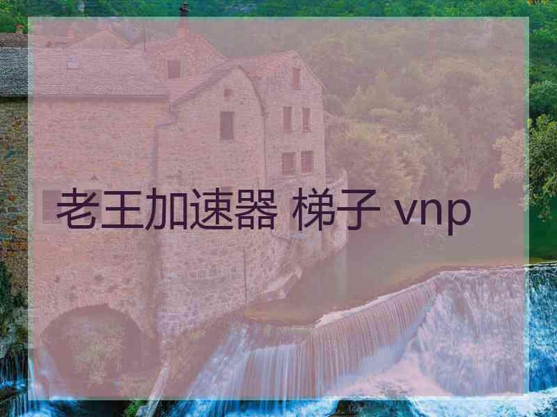 老王加速器 梯子 vnp