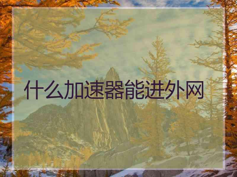 什么加速器能进外网