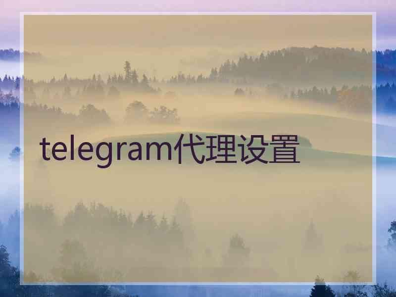 telegram代理设置