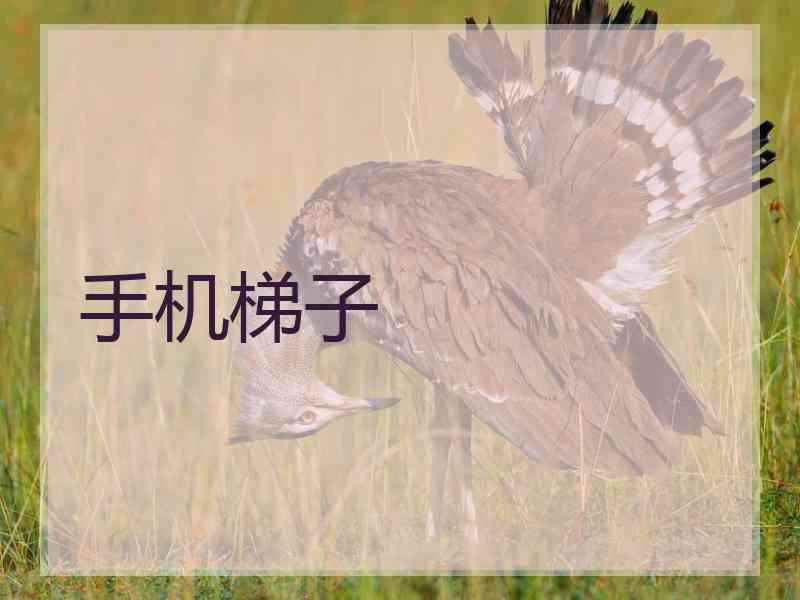 手机梯子