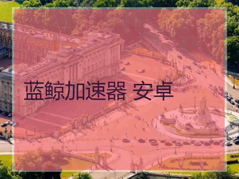 蓝鲸加速器 安卓