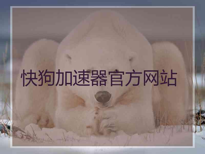 快狗加速器官方网站