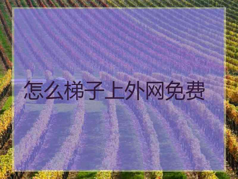 怎么梯子上外网免费