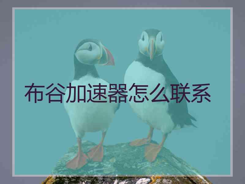 布谷加速器怎么联系