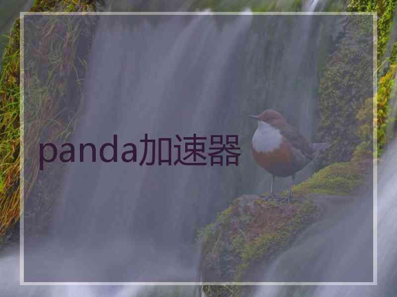 panda加速器