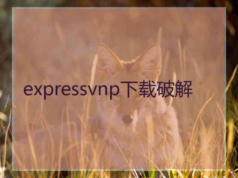 expressvnp下载破解