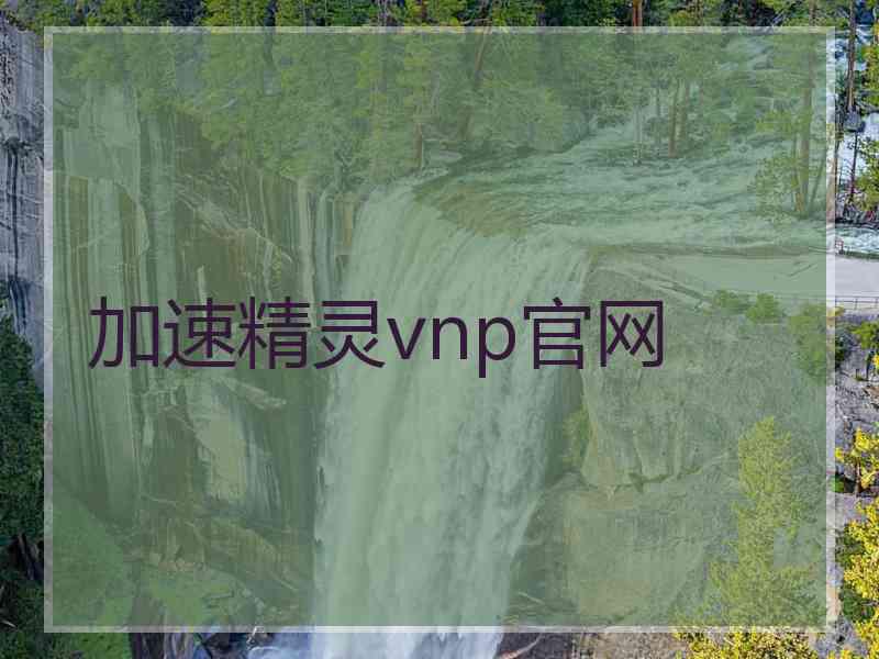 加速精灵vnp官网